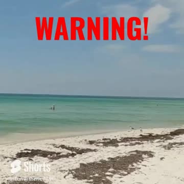 TRIGGER WARNING! "I see..." #funwitheric