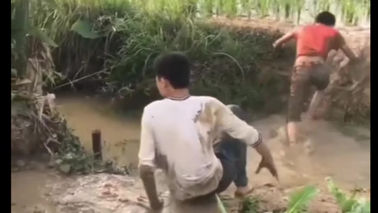 Funny video 🤣🤣