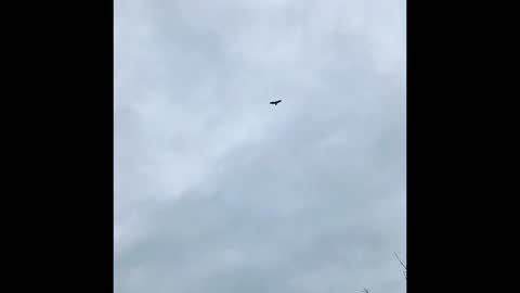 The sermon of the week:Lying to God.