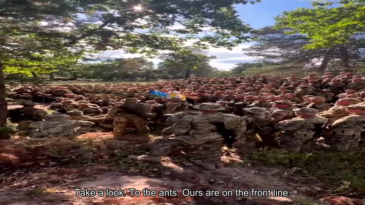 Take a look. To the ants. Ours are on the front line.