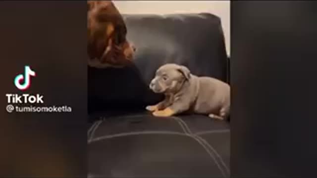 Father meets son for first time