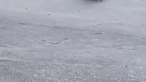 The speed death