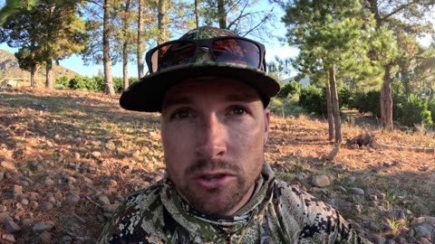 The Ultimate Baboon Hunt: Chasing Down The Apex Varmint