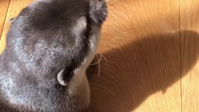 funny and cute