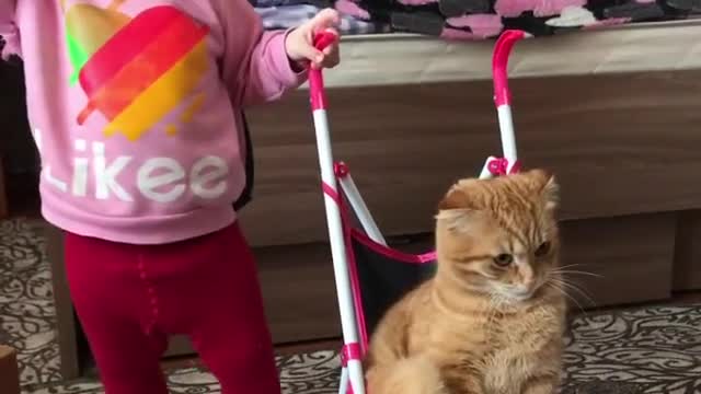 A smart kid take care of funny cat.