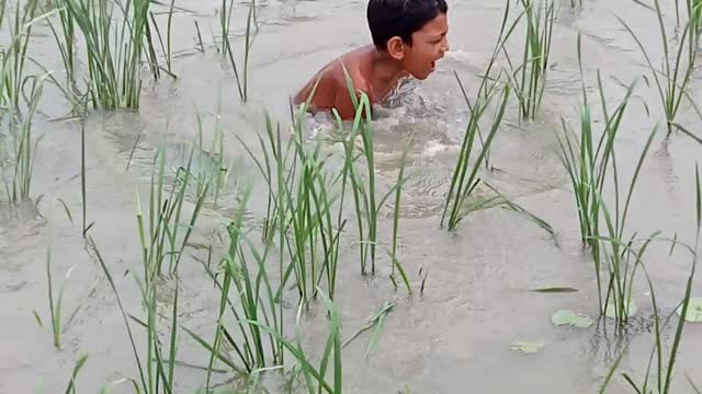 Children playing in the water bd