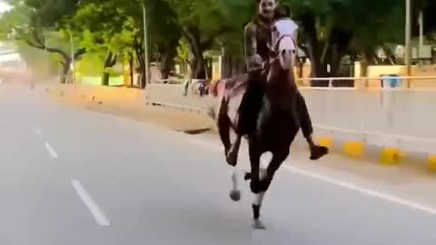 Funday with horse