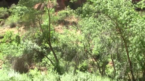 Zion National Park, Utah