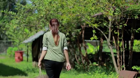 Passion picking for drinking _ Passion fruit eating