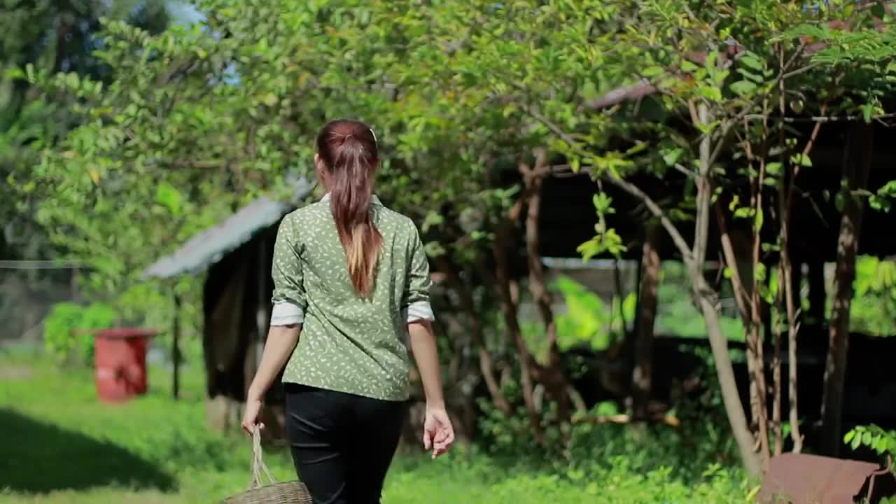 Passion picking for drinking _ Passion fruit eating