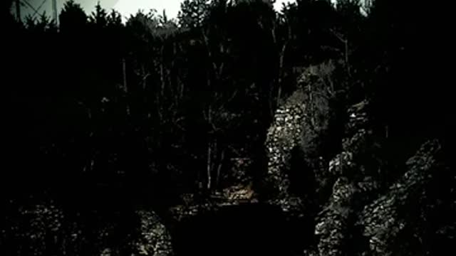 3307 song mp4