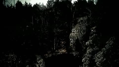 3307 song mp4