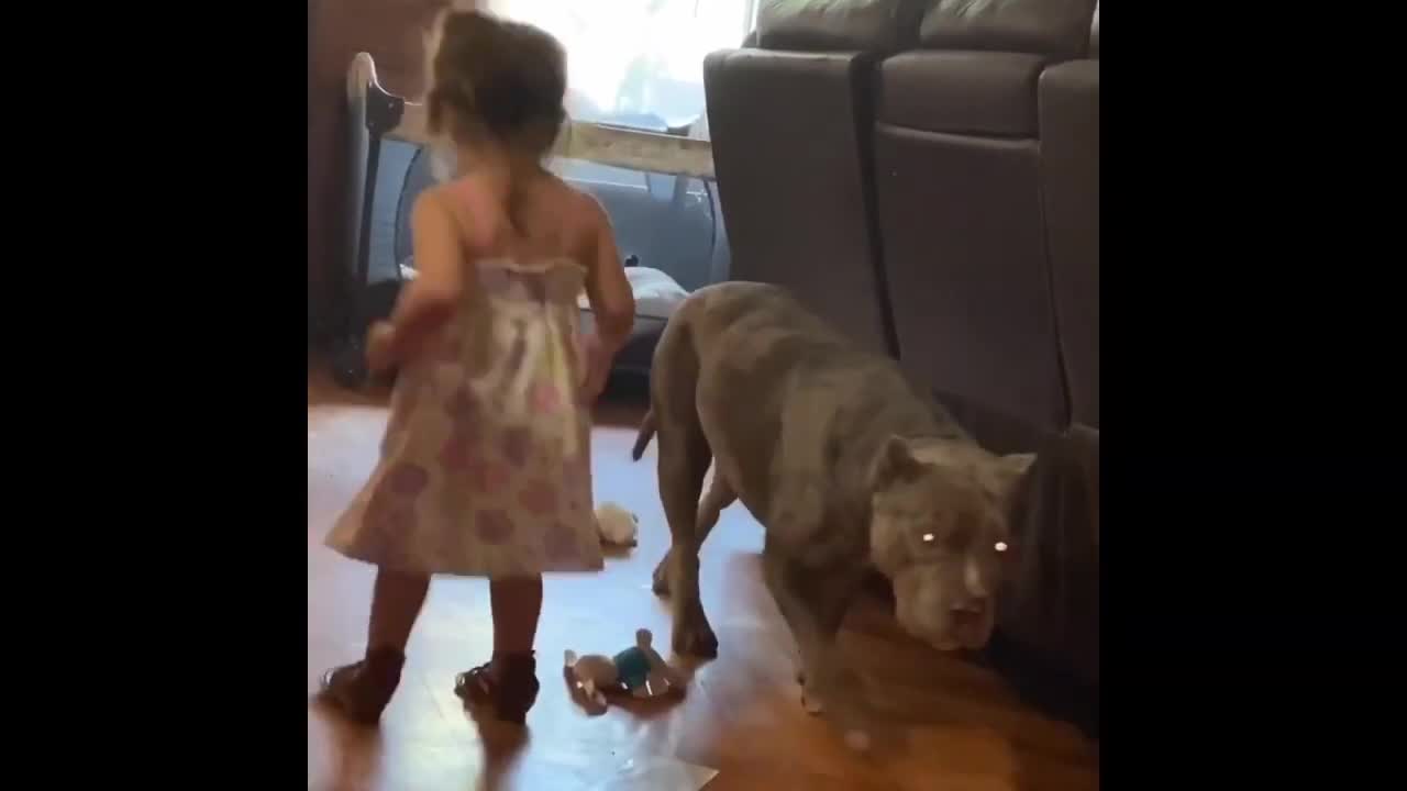 Abusive Child Attacks Pitbull And This Happened Next | Pitbull