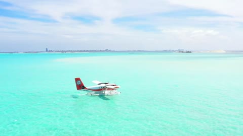 Paradise beach with a water plane