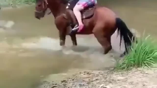 Poor horse 🤣