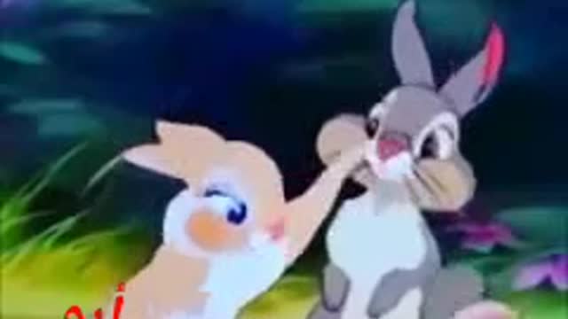 Rabbits love
