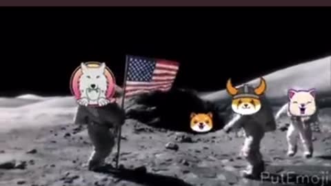 Babydoge pumping to the moon