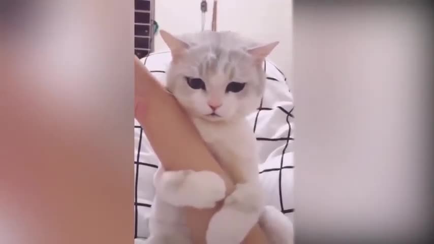 Funny Little Littles