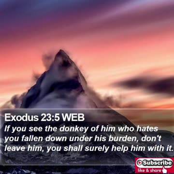 Nighttime Prayer to Assist #youtubeshorts #grace #jesus #mercy #faith #fyp #trust #joy #bless #love