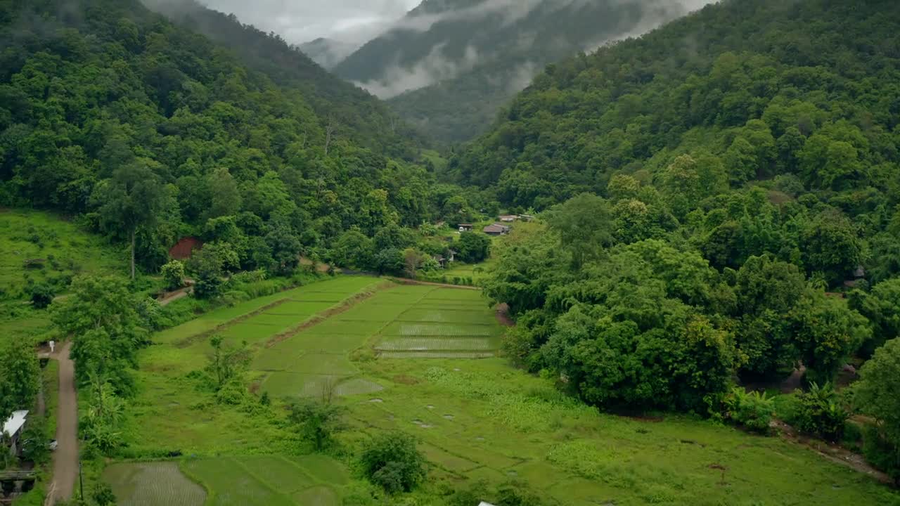 rural life in china