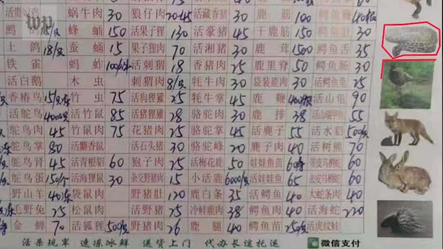 Did Coronavirus accidentally escaped from a Wuhan lab? The Fact Finding