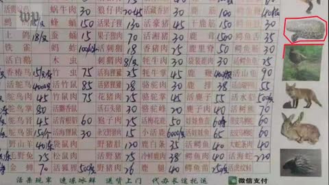 Did Coronavirus accidentally escaped from a Wuhan lab? The Fact Finding
