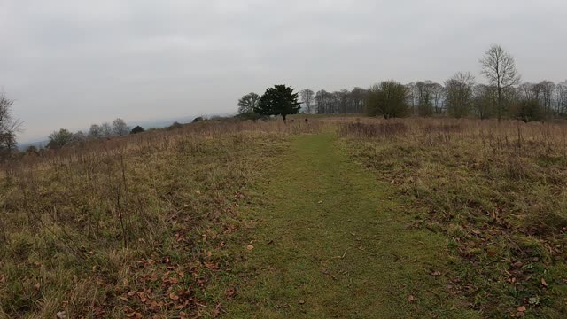 Speed lapse from a woodland to Danebury hill..GoPro