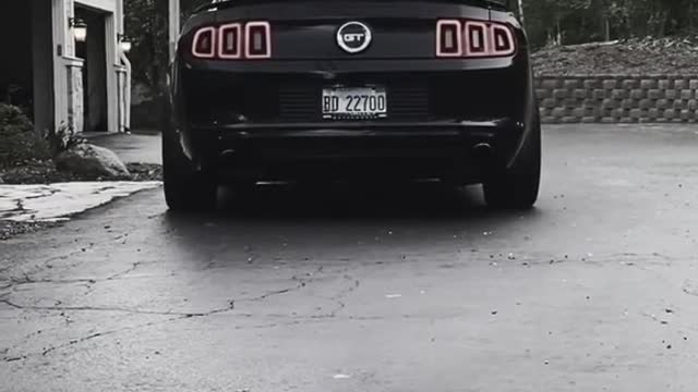 The ford mustang