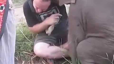 Best clip of human friend of animals