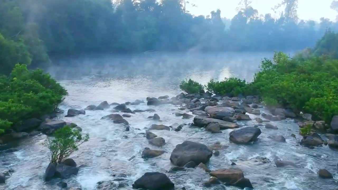 calming nature video