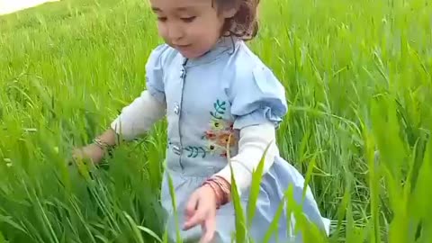 Little Angle walking in field