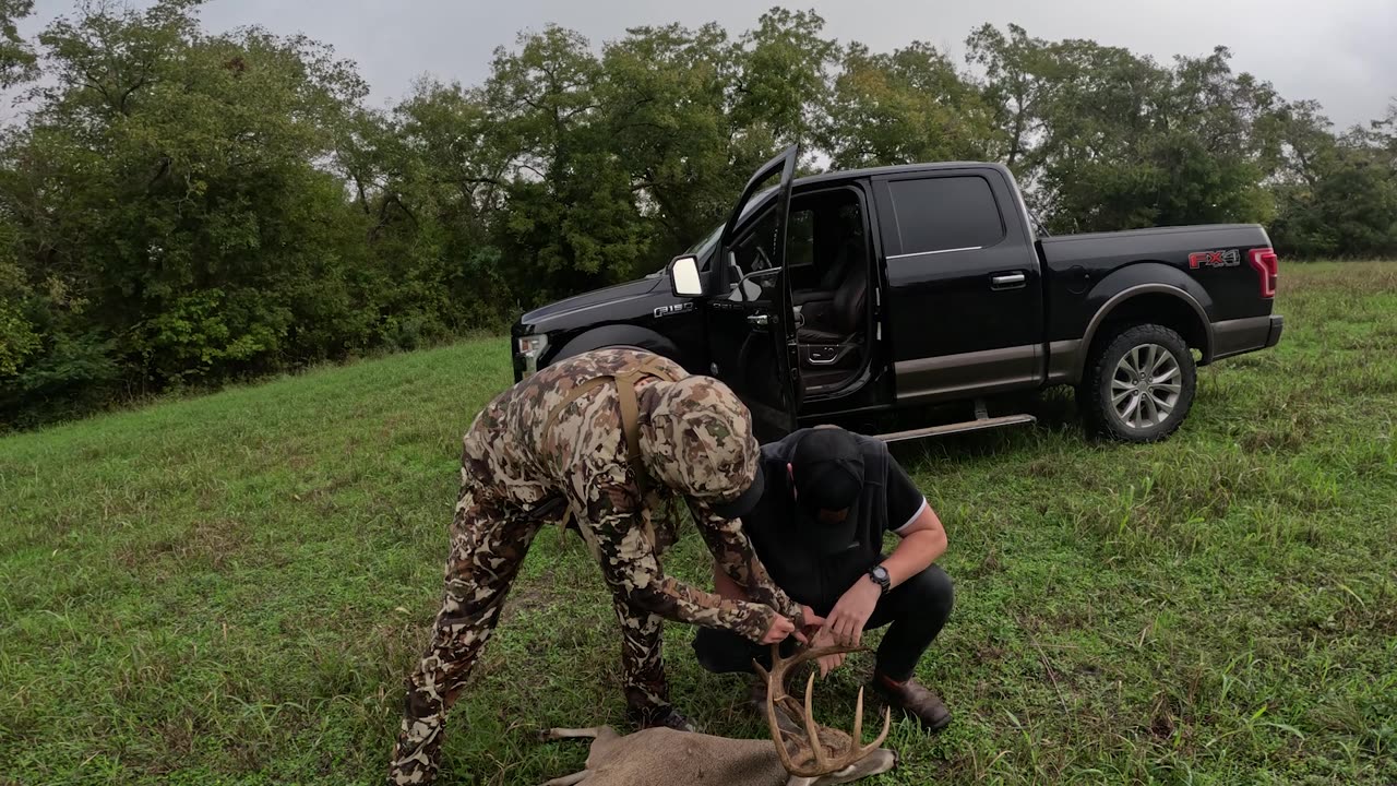 GIANT Buck In The City Limits I Texas (Low Fence)