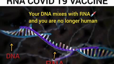 RNA COVID19 VACCINES