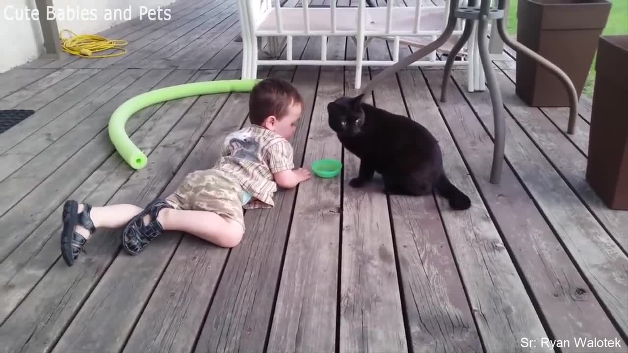 Cute Cat Playing with Baby - Best of Cute Cats Love Babies Compilation