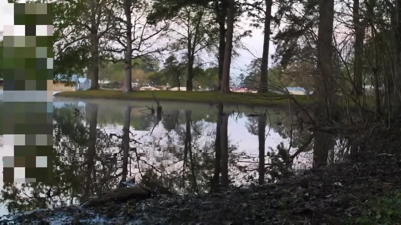 GIANT BASS FOUND in MUDDY CREEK