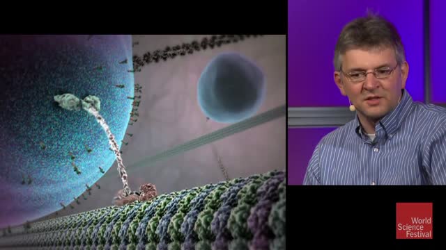 The Nano Robots Inside You