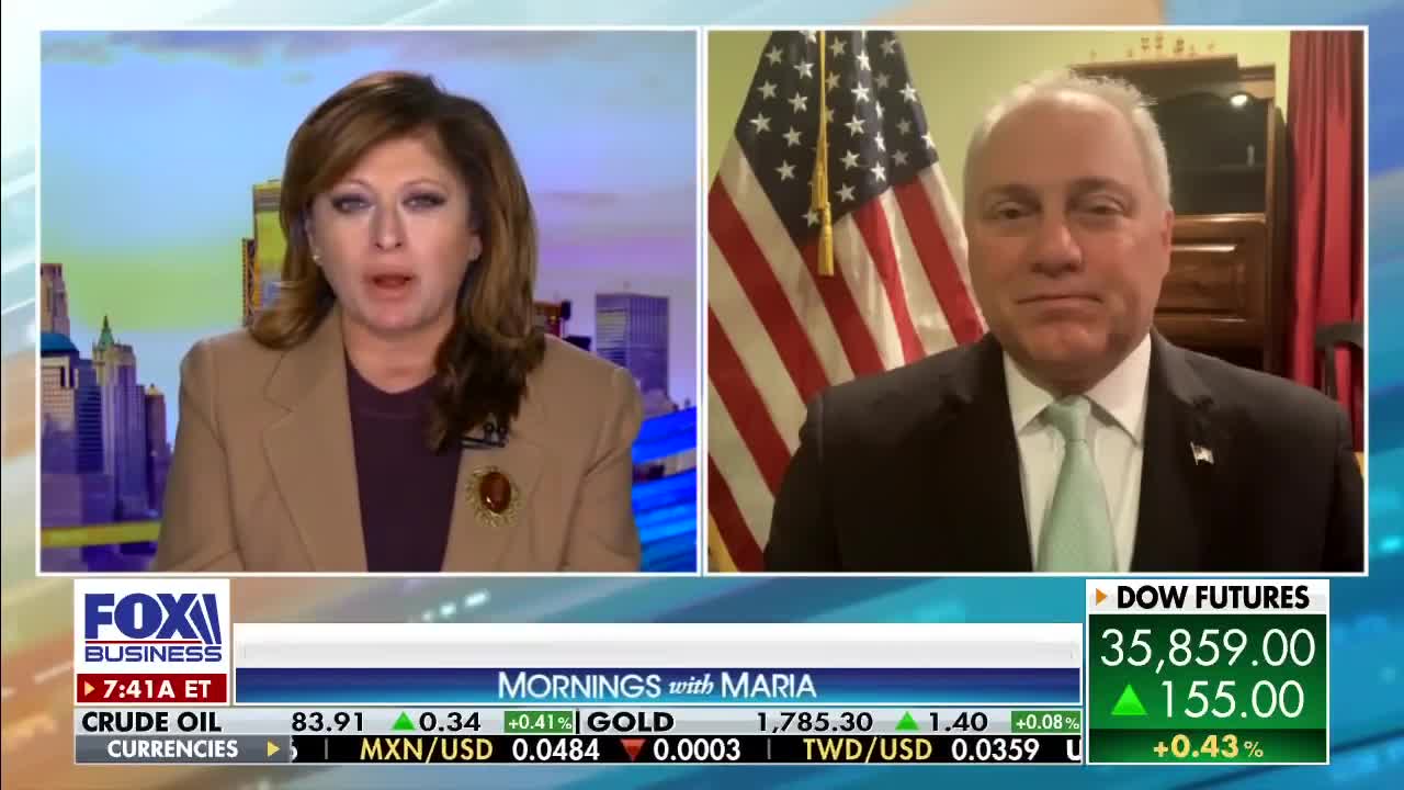 Voters ‘furious’ with ‘all the spending’ on Capitol Hill: Steve Scalise