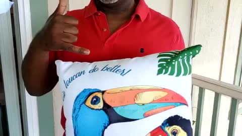 Designer Pillows from Lucas in Hawaii