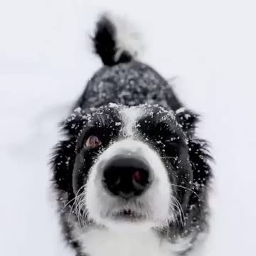 Not very cozy. Also I follow back:)