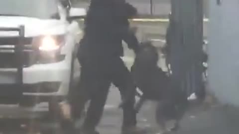 K9 Unit