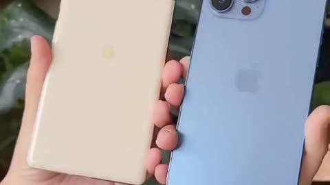 Google pixels 6 pro phone vs iphone 13 pro max. #shorts ,#trending ,#phone .