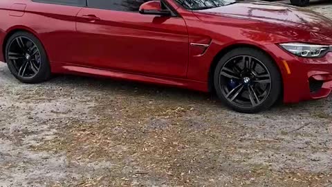 2019 bmw m4