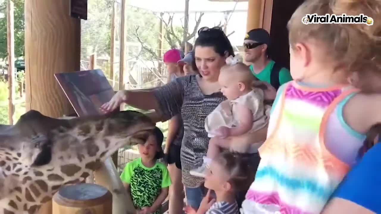 Funny video with childrens