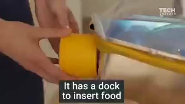 bambini vengono prodotti in grembi artificiali.