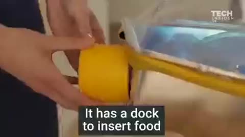 bambini vengono prodotti in grembi artificiali.