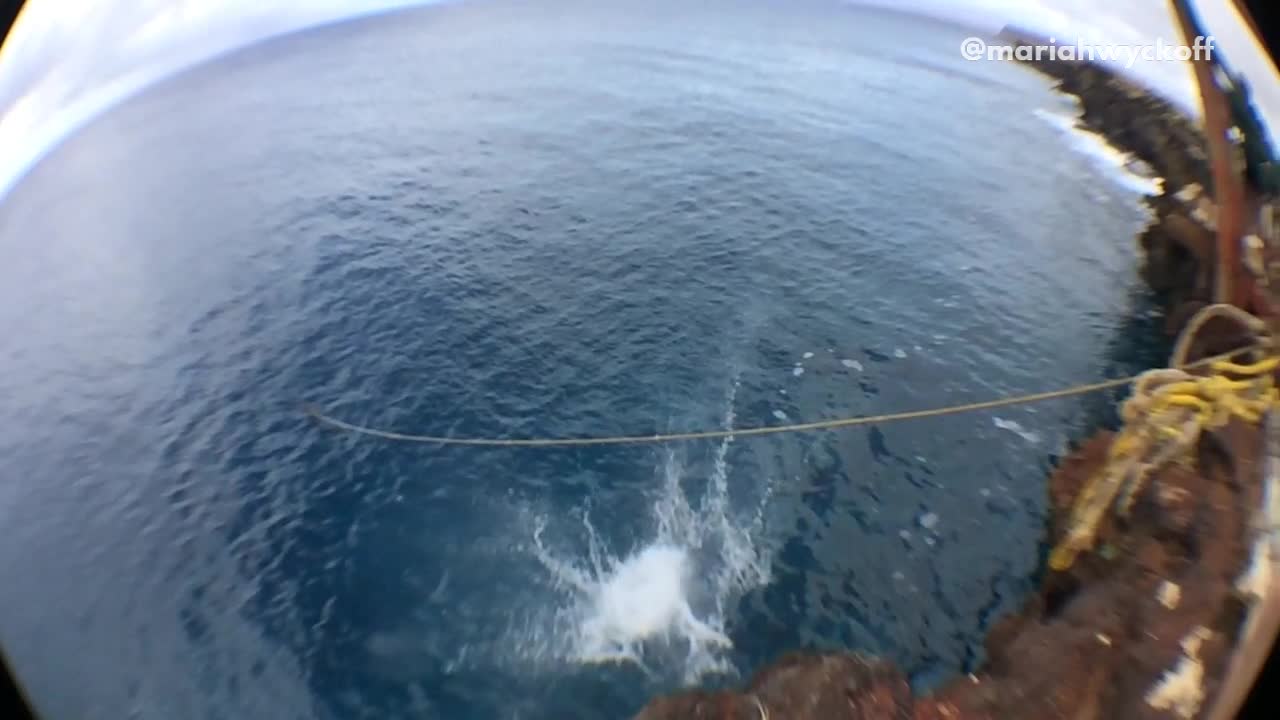 Slowmo red suit girl backflips off pier faceplants water