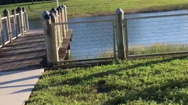 Down by the bay ;) ;) where the watermelons grow