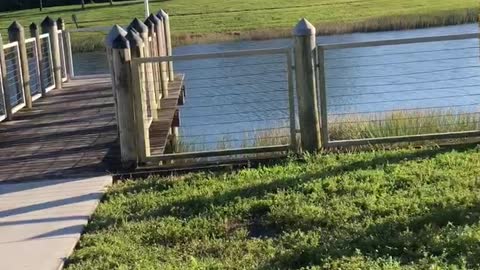 Down by the bay ;) ;) where the watermelons grow