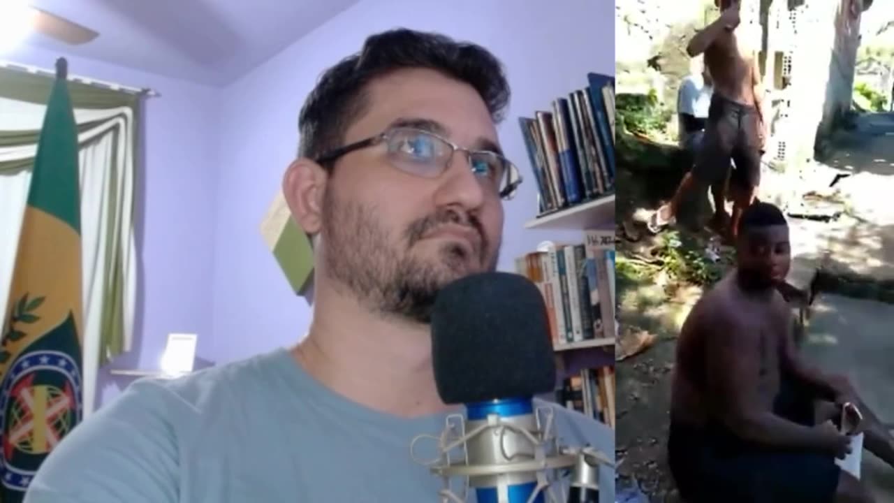 A vida de um macaco bostileiro