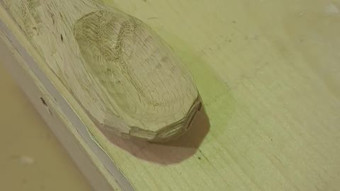 First day's progress on wooden spoon